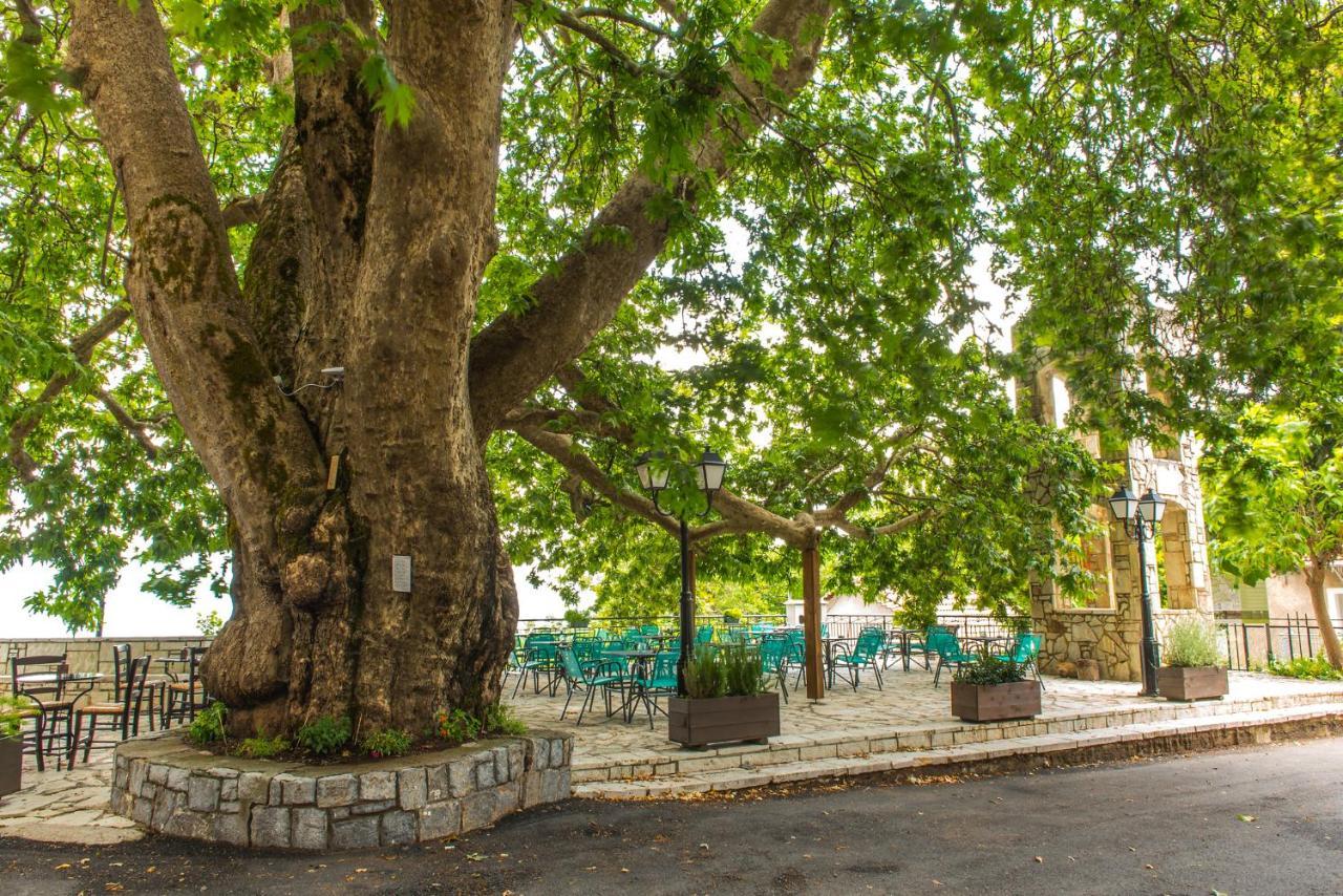 Apartmán «Σκλάβας Χνάρι» Παραδοσιακός Ξενώνας Magouliana Exteriér fotografie